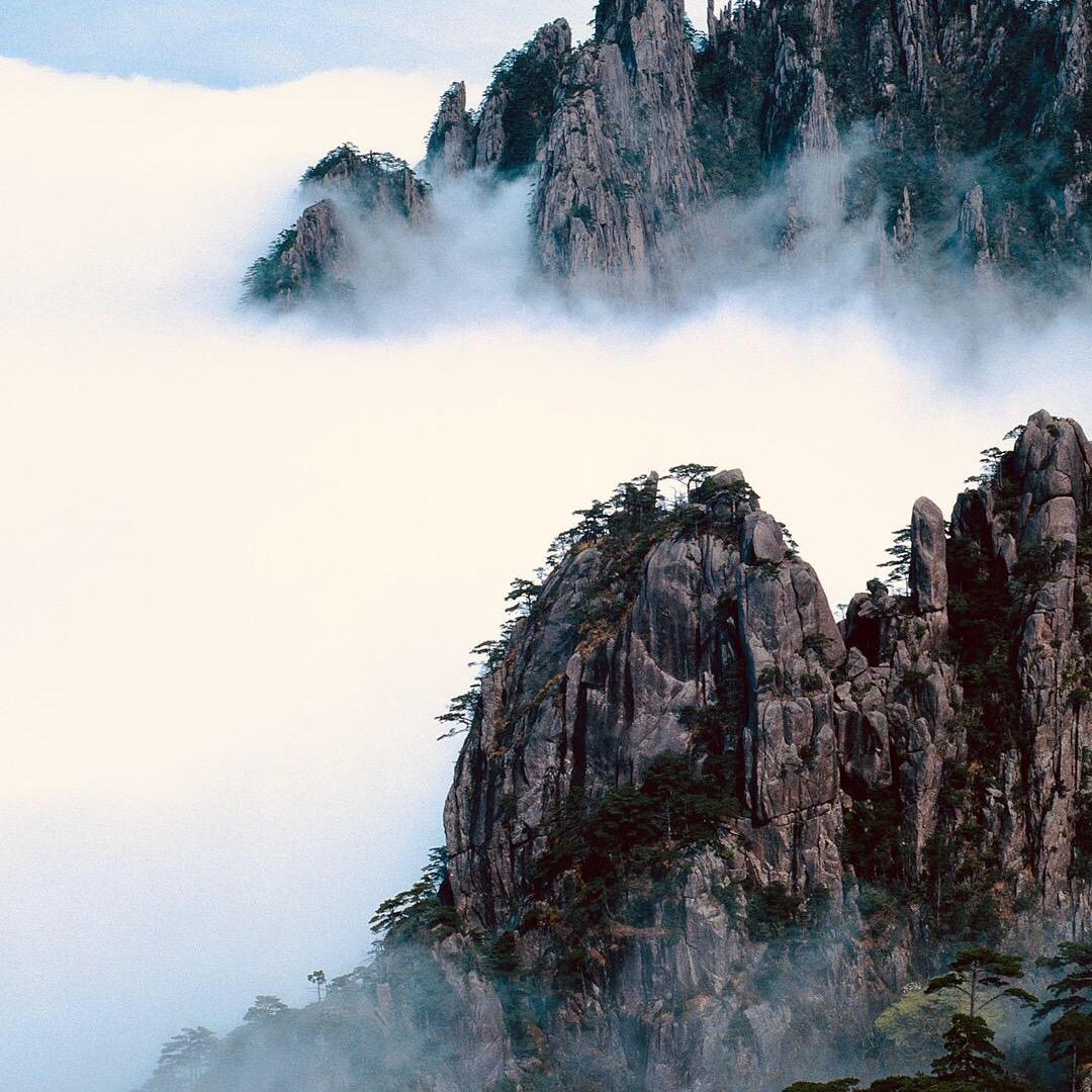 龙哥
