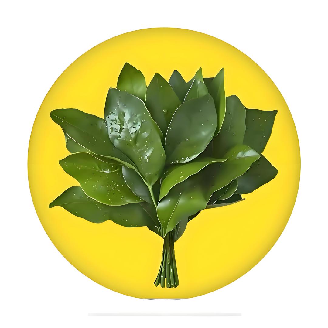 洛阳天泽寄卖行！