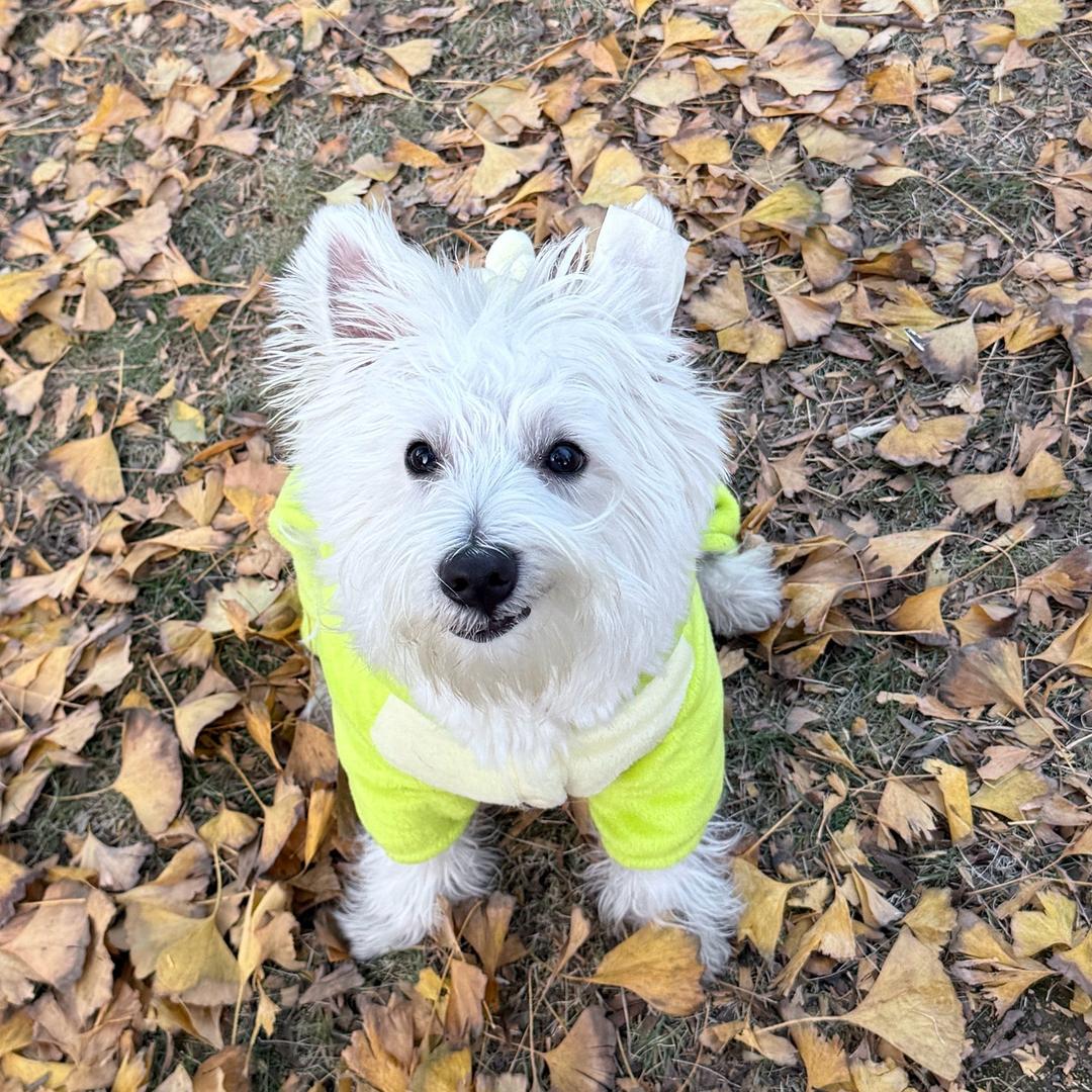 哆小咪🐾