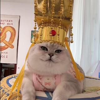 芬儿头大王喵喵岁