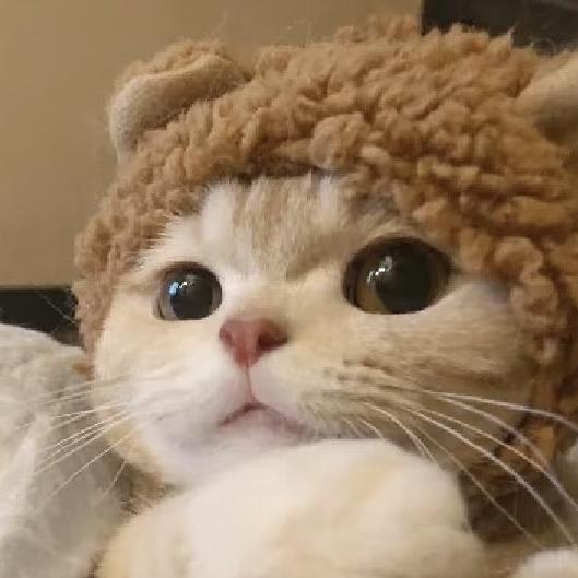 维尼快跑