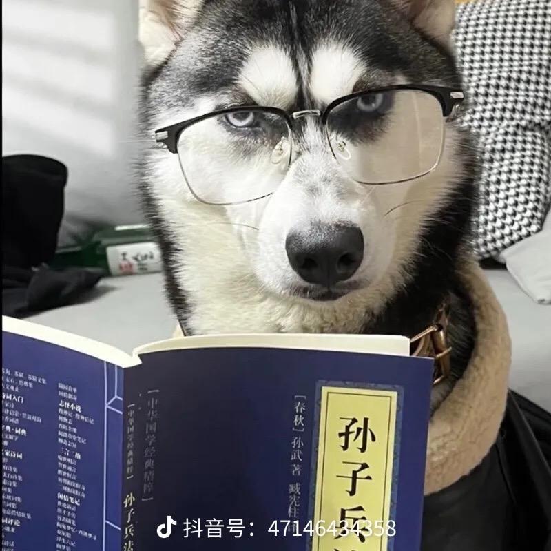 农夫三拳🐳