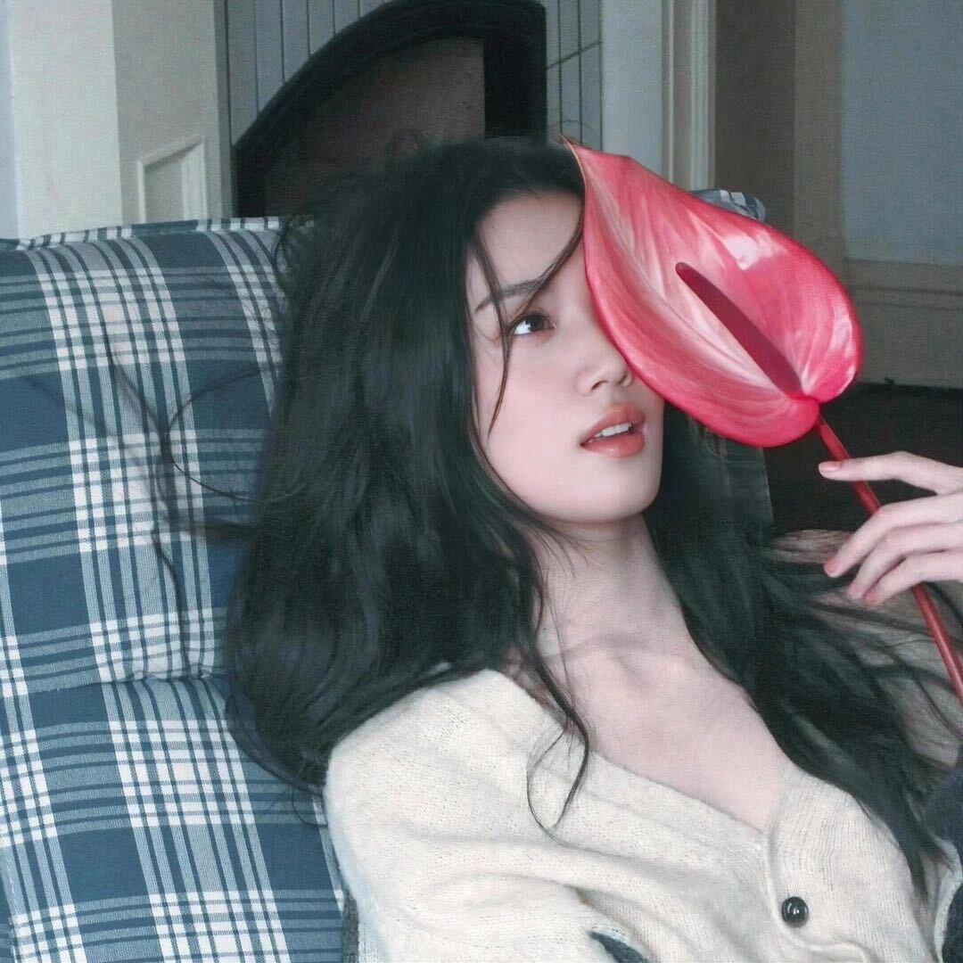 H·