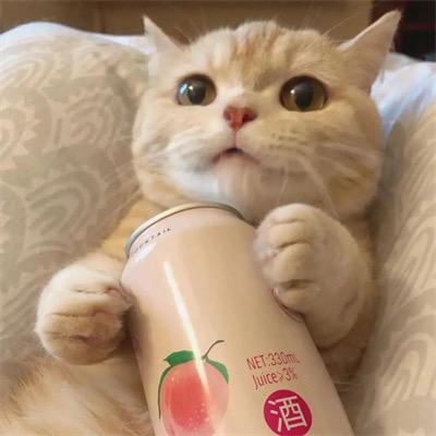 张假假