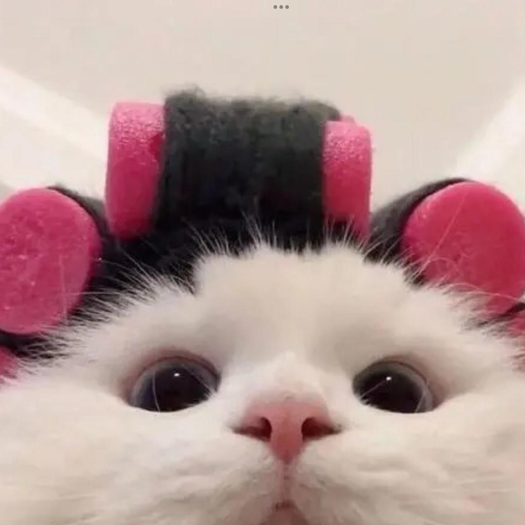 丫丫诗词