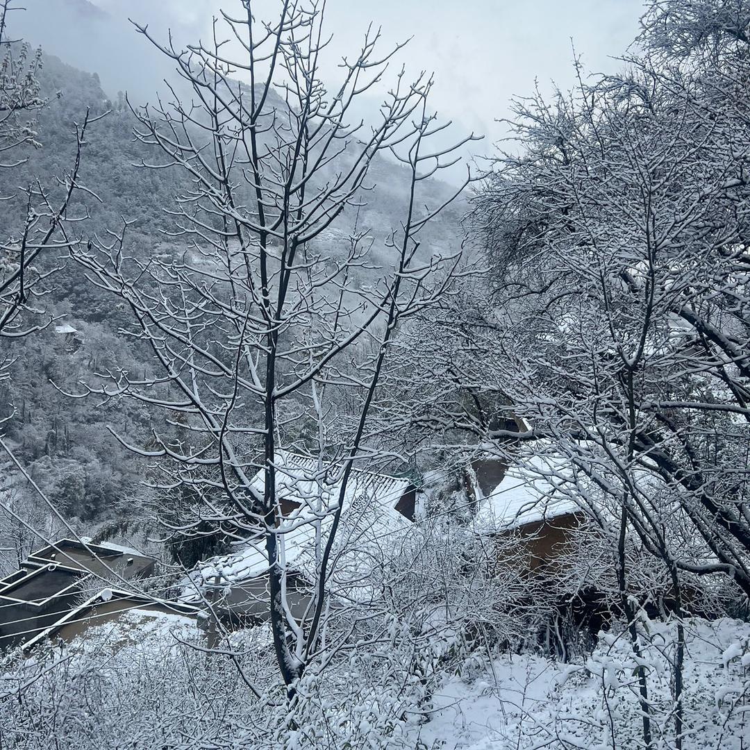 刘华