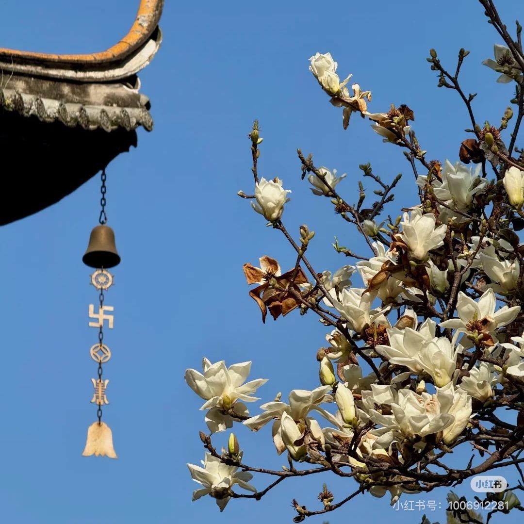 泰山普正修禅