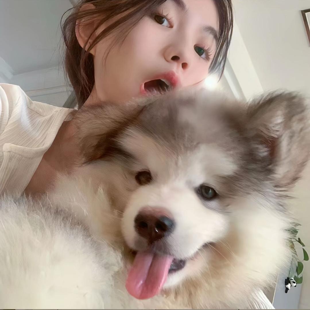睡不饱-