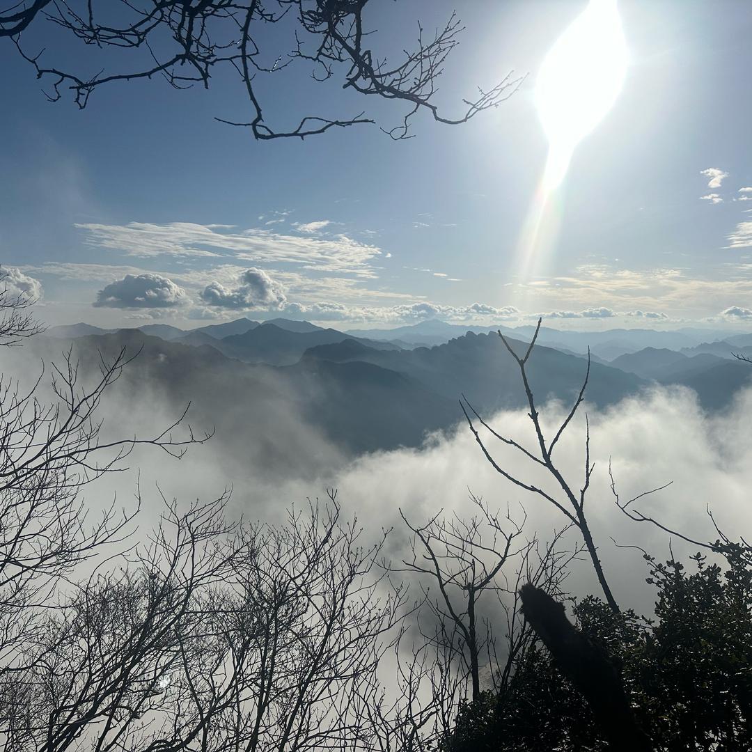 小小的太阳☀️