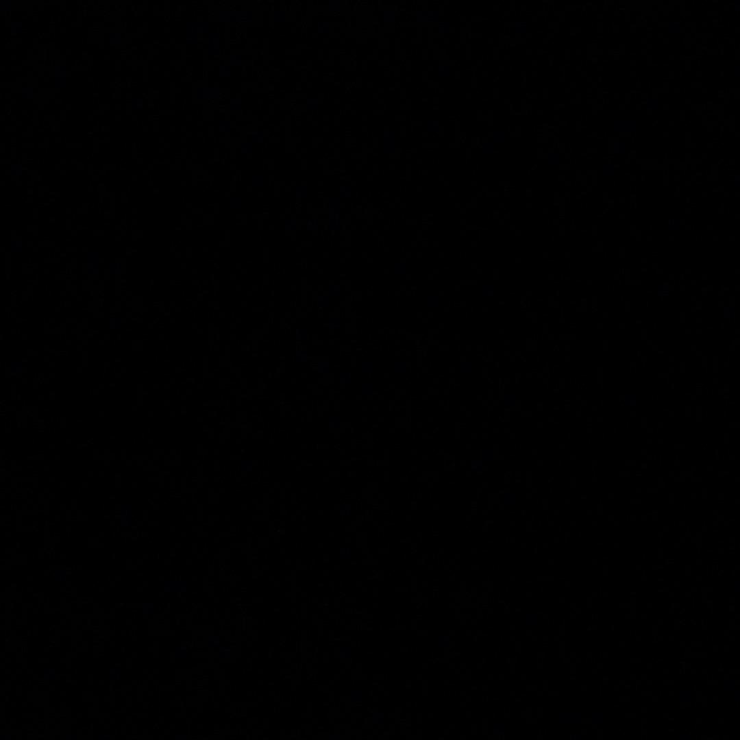 左晨