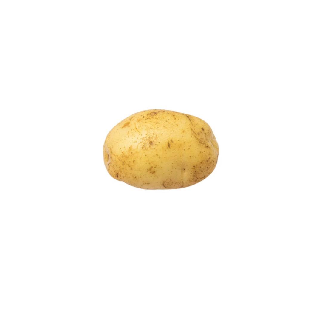 Y小Y