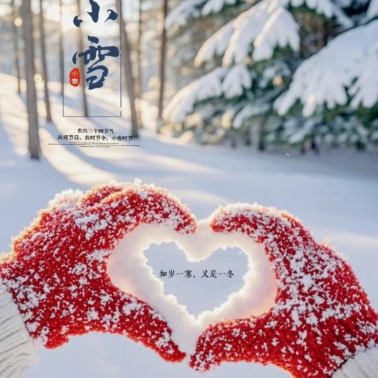 ❤️舞恋之伽☆