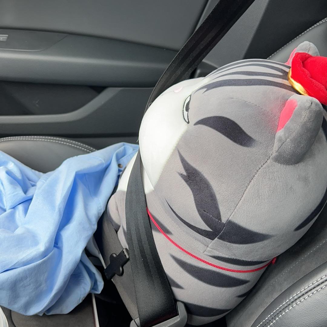 番茄你个马铃薯