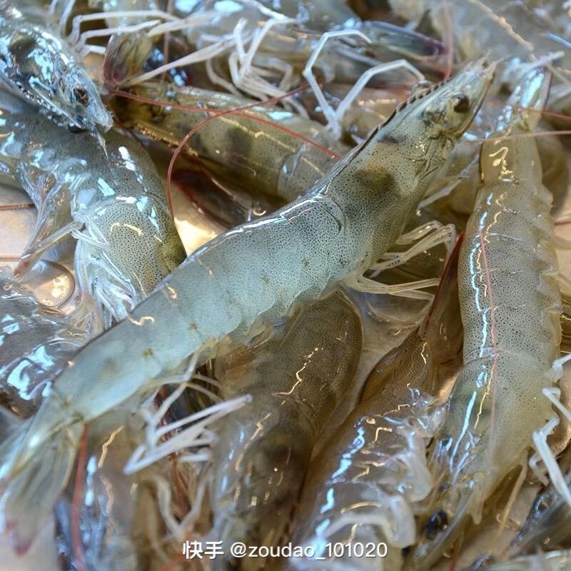 早晚捕零售店海鲜臻选