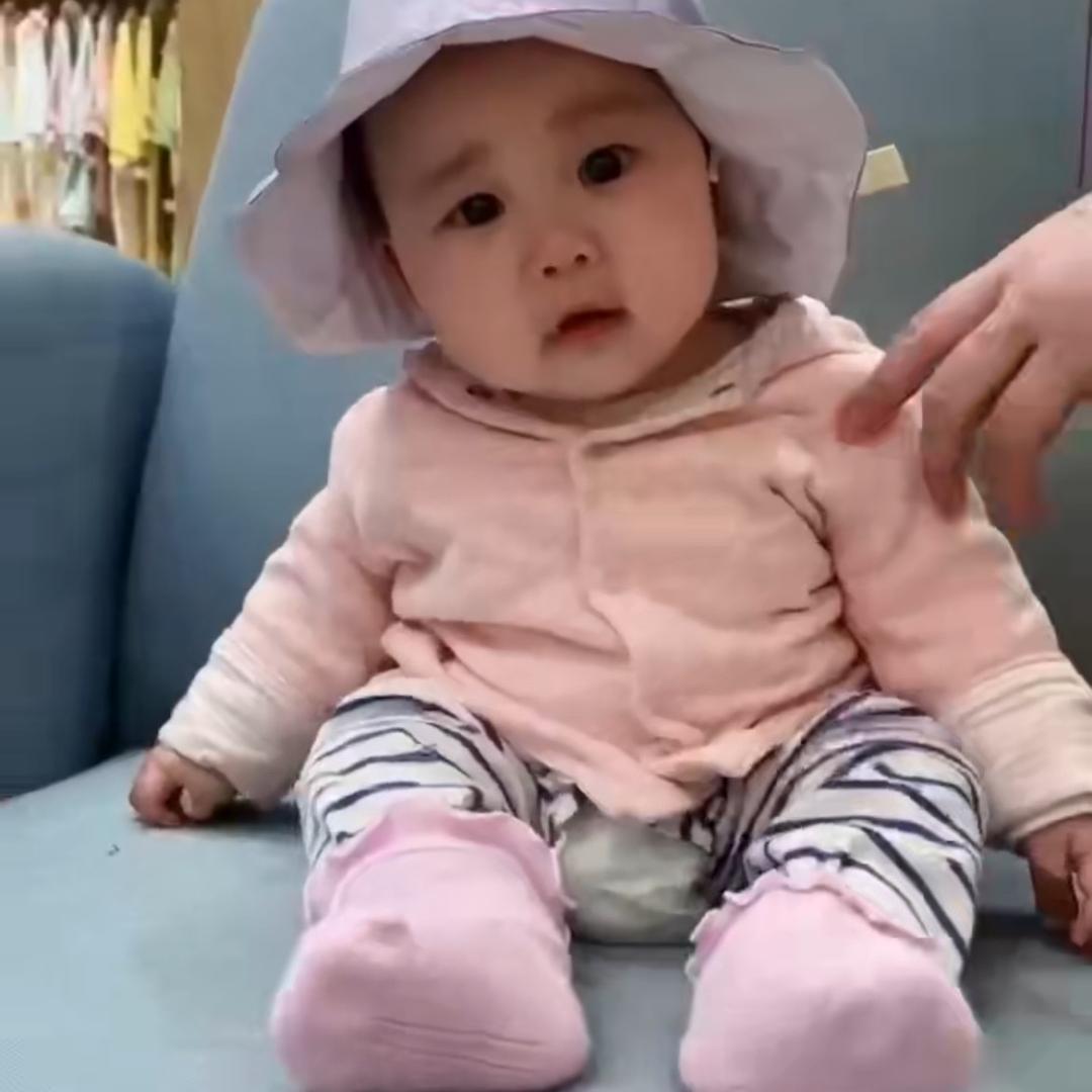 小灰灰
