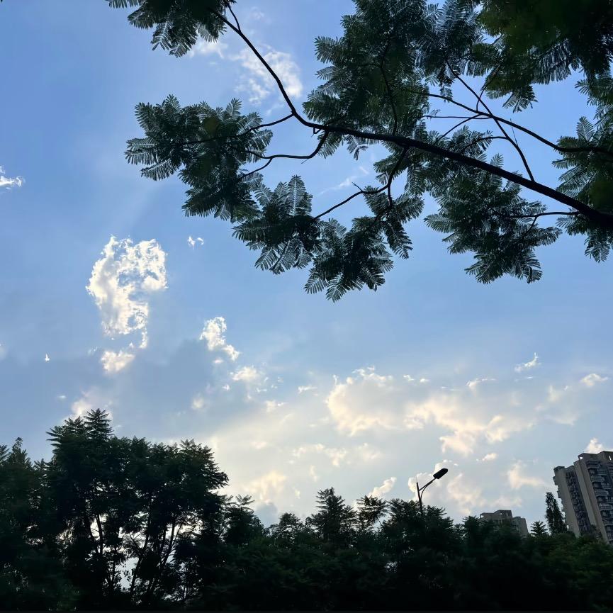 菜包子