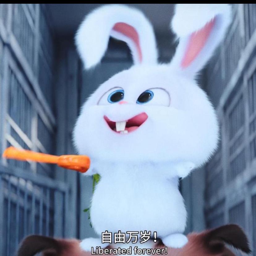 白兔277🏸 ²⁷⁷