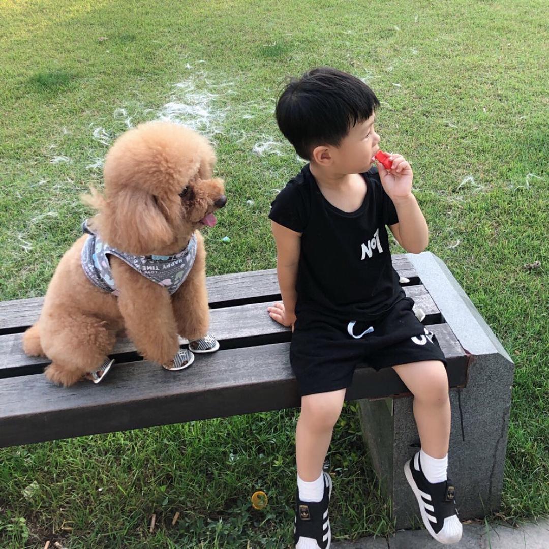 浅笑安然&帅帅&哈利