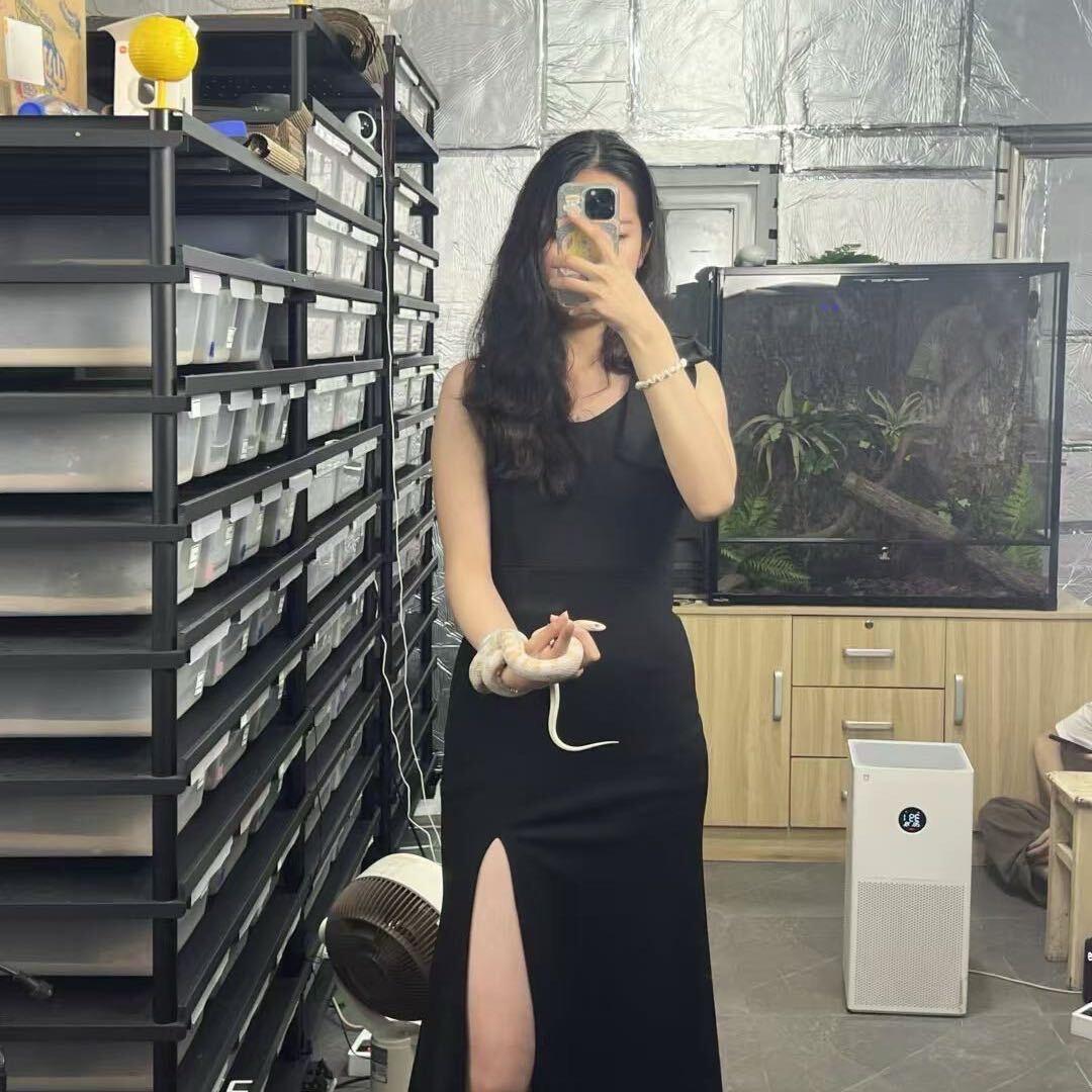 小黄爬宠工作室