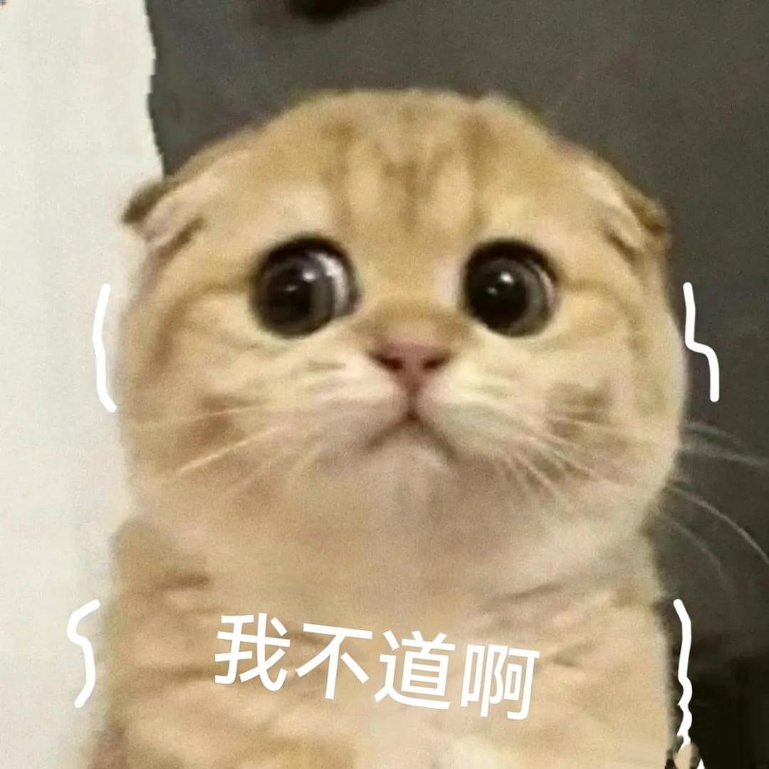 高个子不许看我发缝🦊