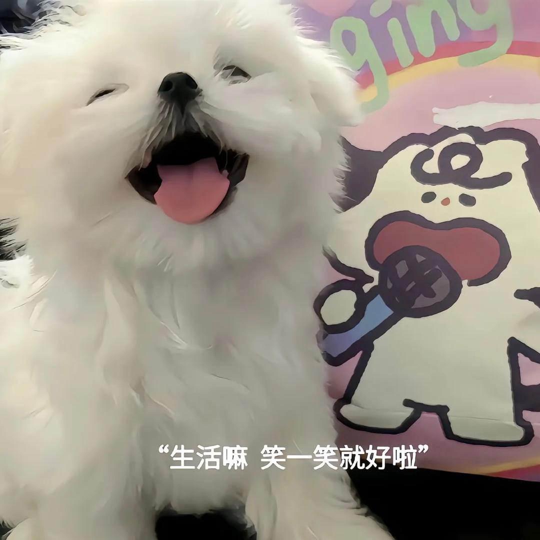 丹宝❤️（等一束光）