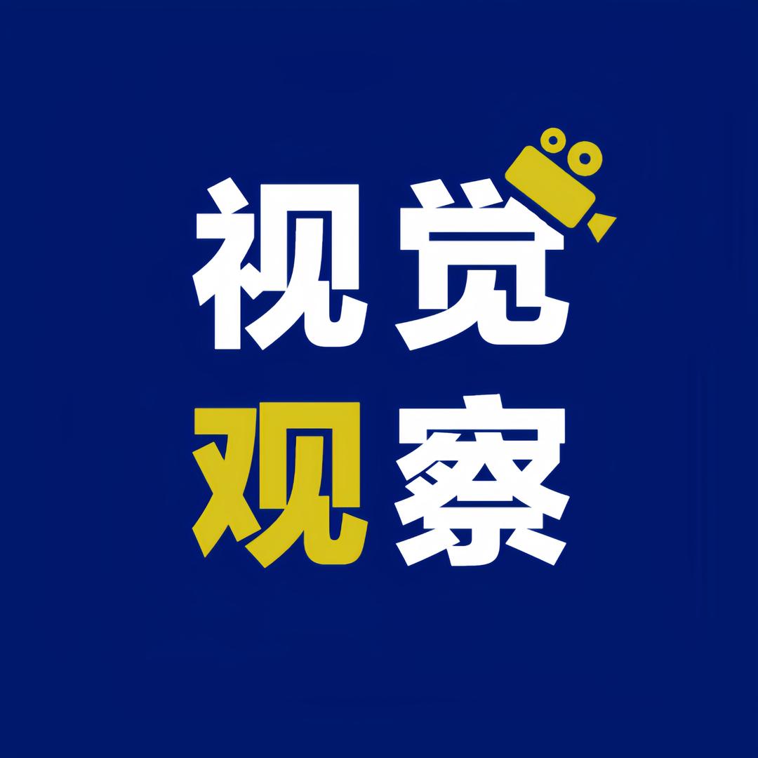 视觉观察