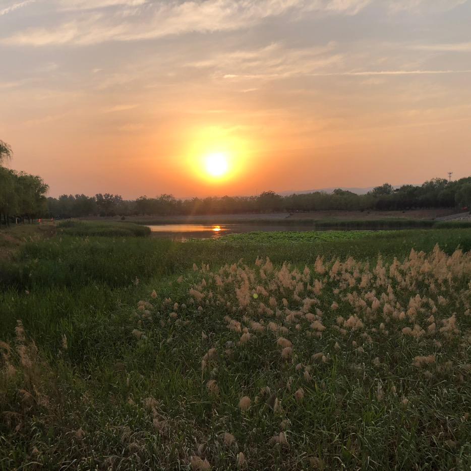 默默（博爱二手房）