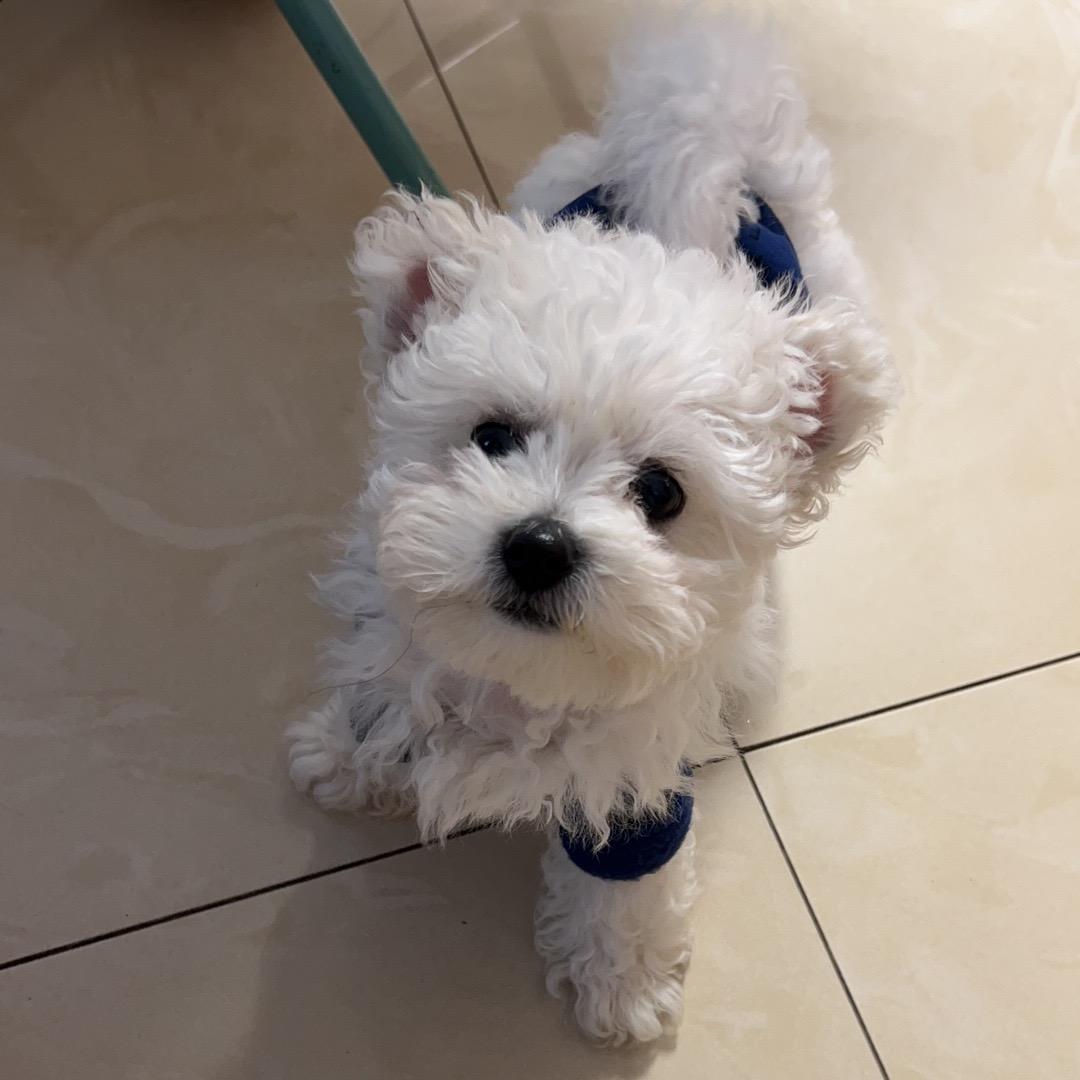 晓丽