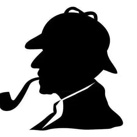 佩森私家调查真相侦探