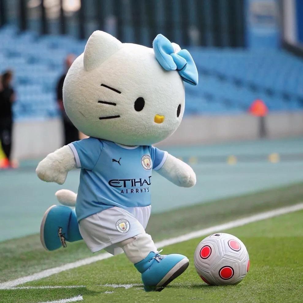 小浣熊⚽️