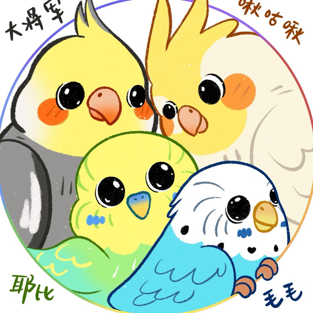 毛毛也没办法🐥