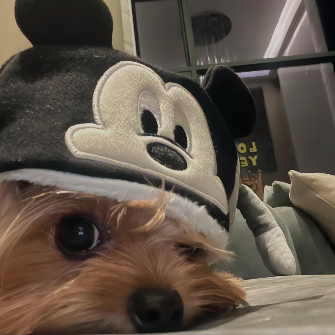 Chi、小池