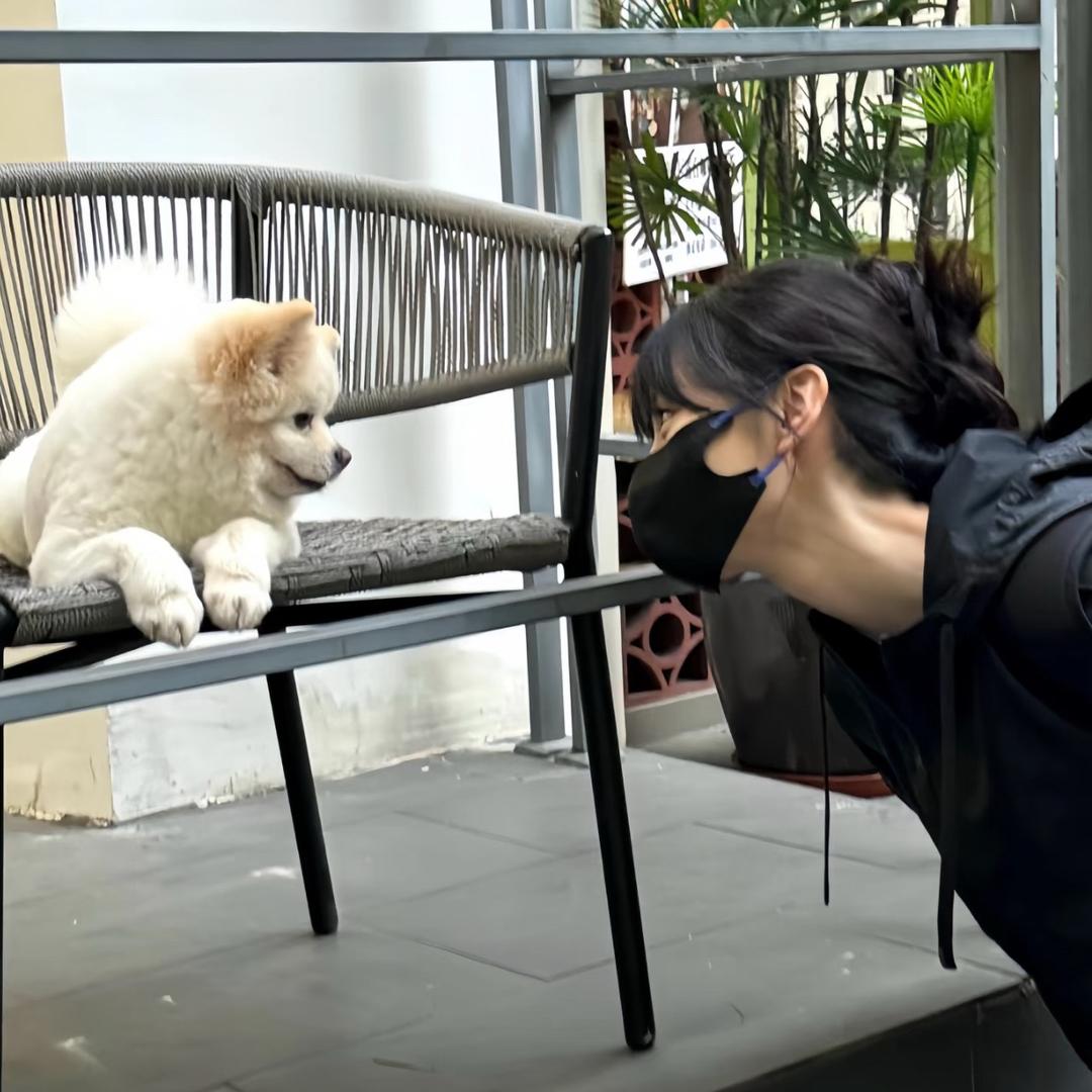 梁特特哈哈