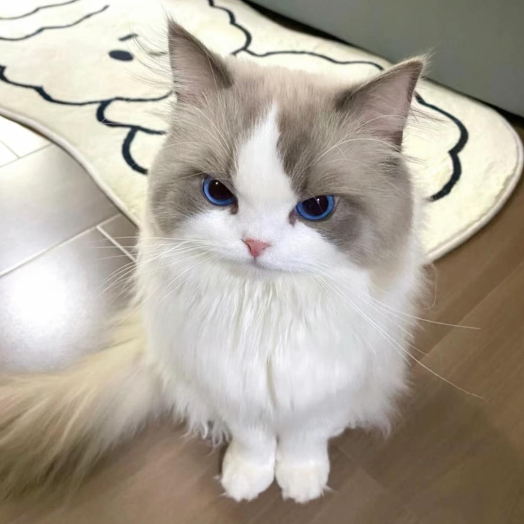 荔