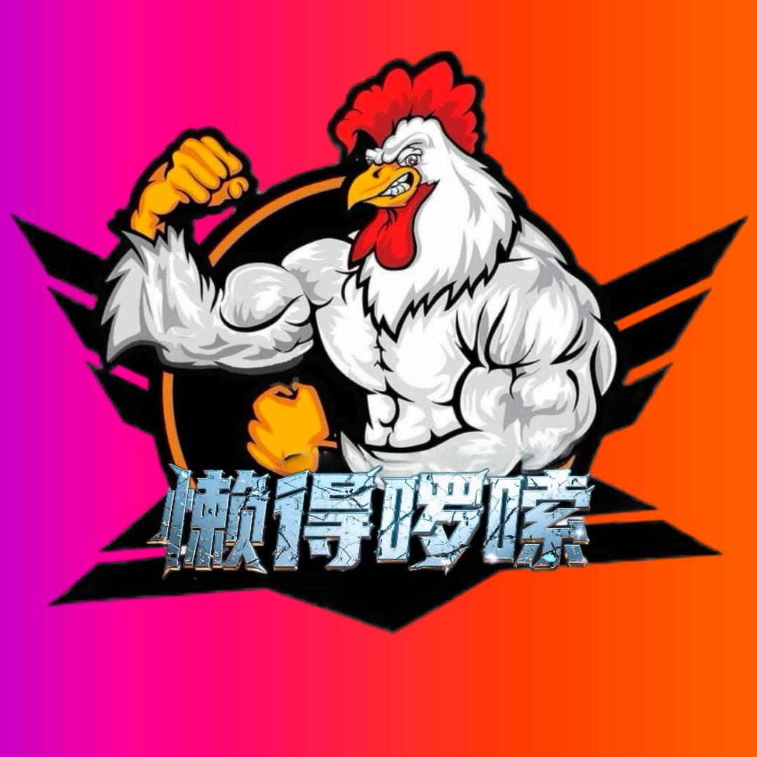 懒得啰嗦🐔