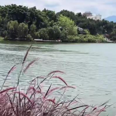 六哥硬汉