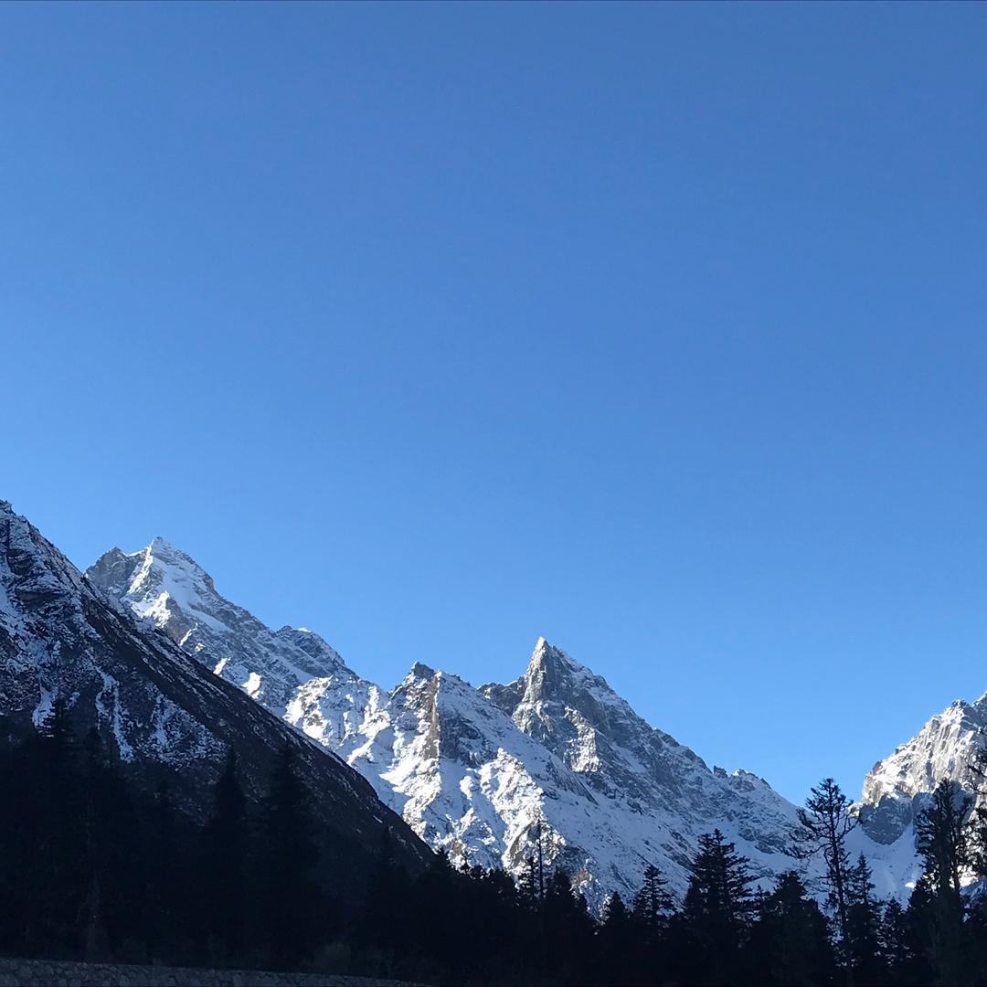 是晓吖