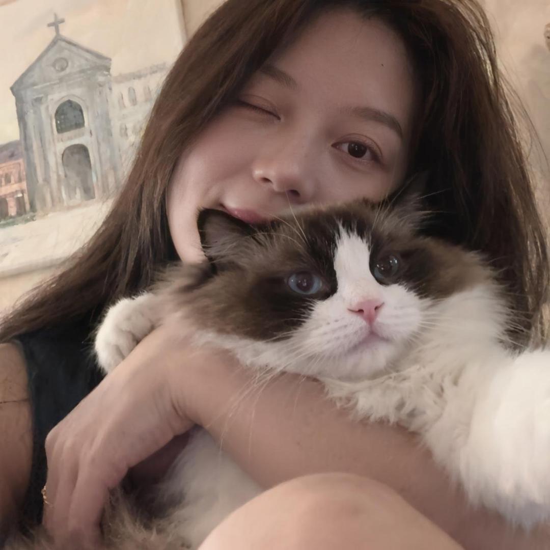 猫猫酱