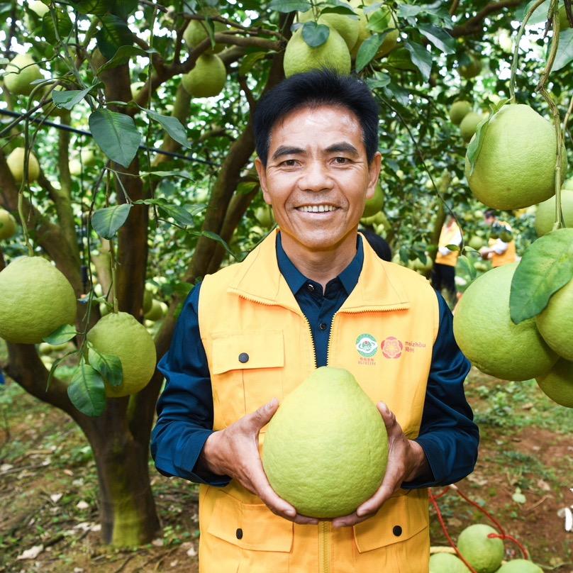 梅州市宝鑫家庭农场