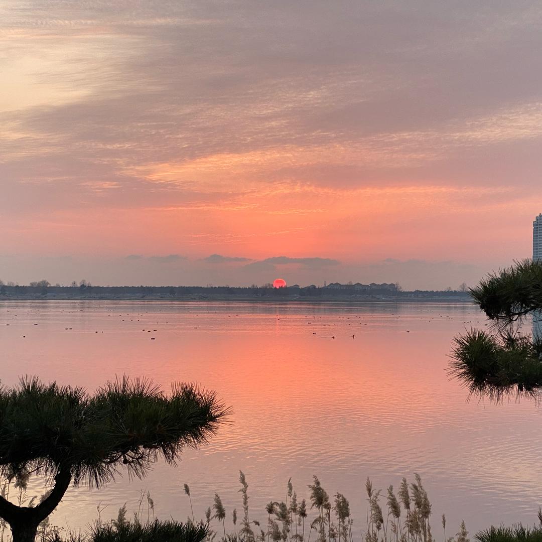 李小川