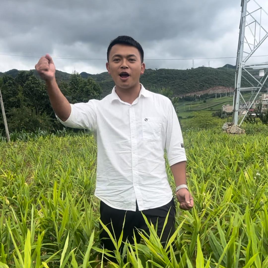 云南三拳农业