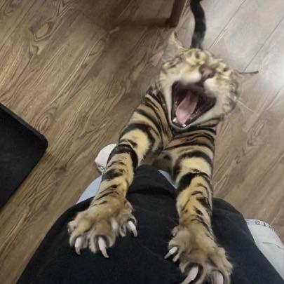 卢现实