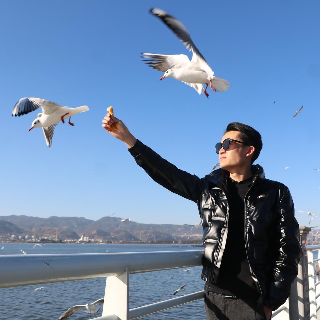 升学指导张主任-货源甲