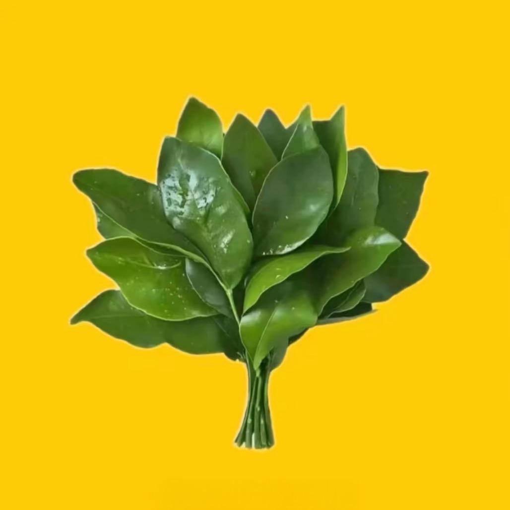 xxy