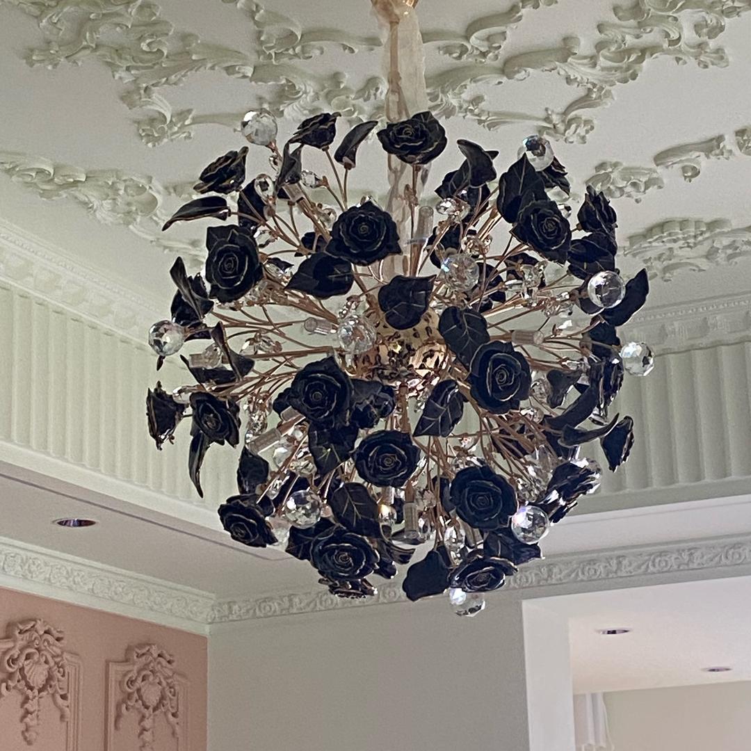 杨姊妹爱🎤（不定时开播版）