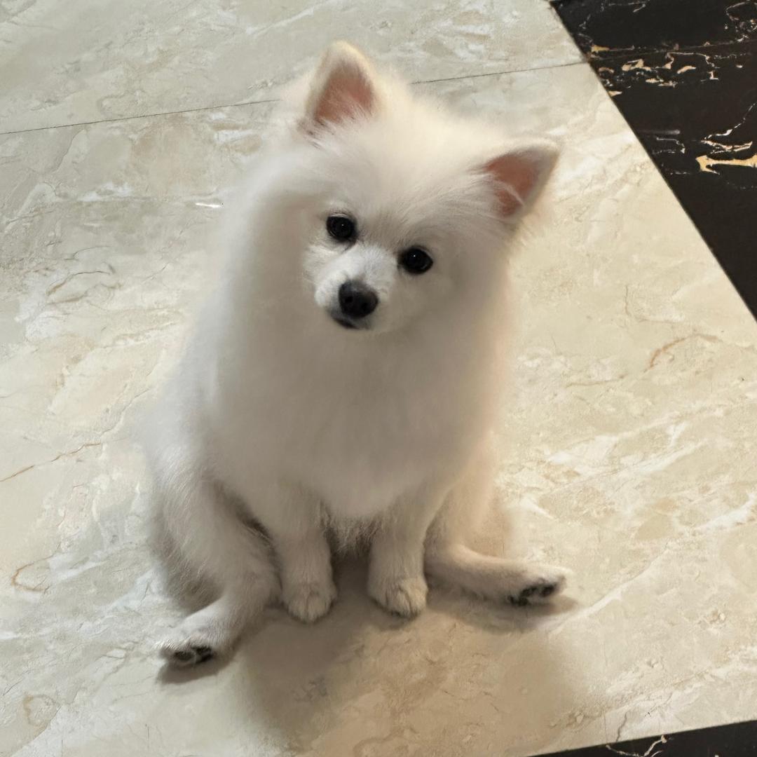 墩墩点点的妈咪