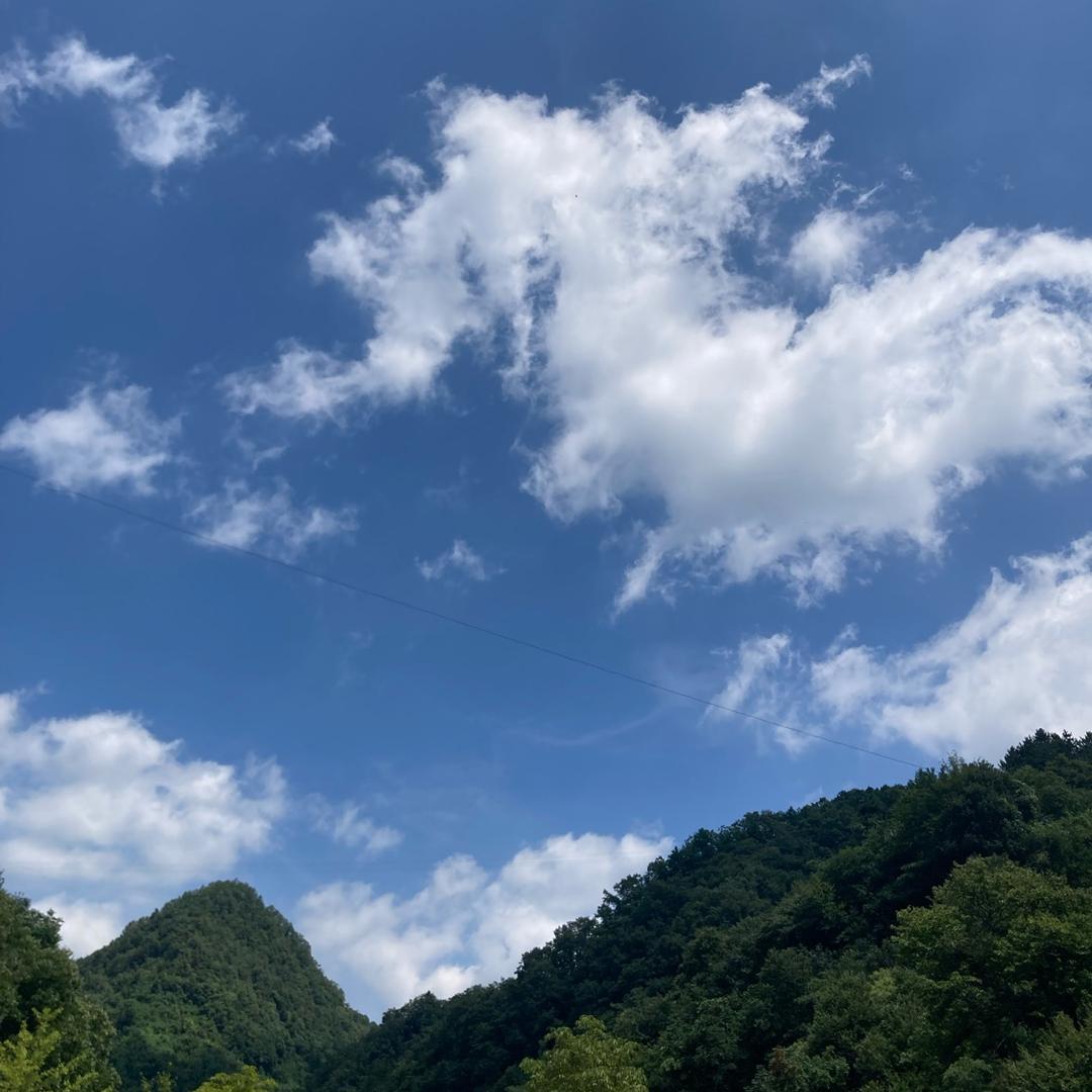 陈天就知道浪