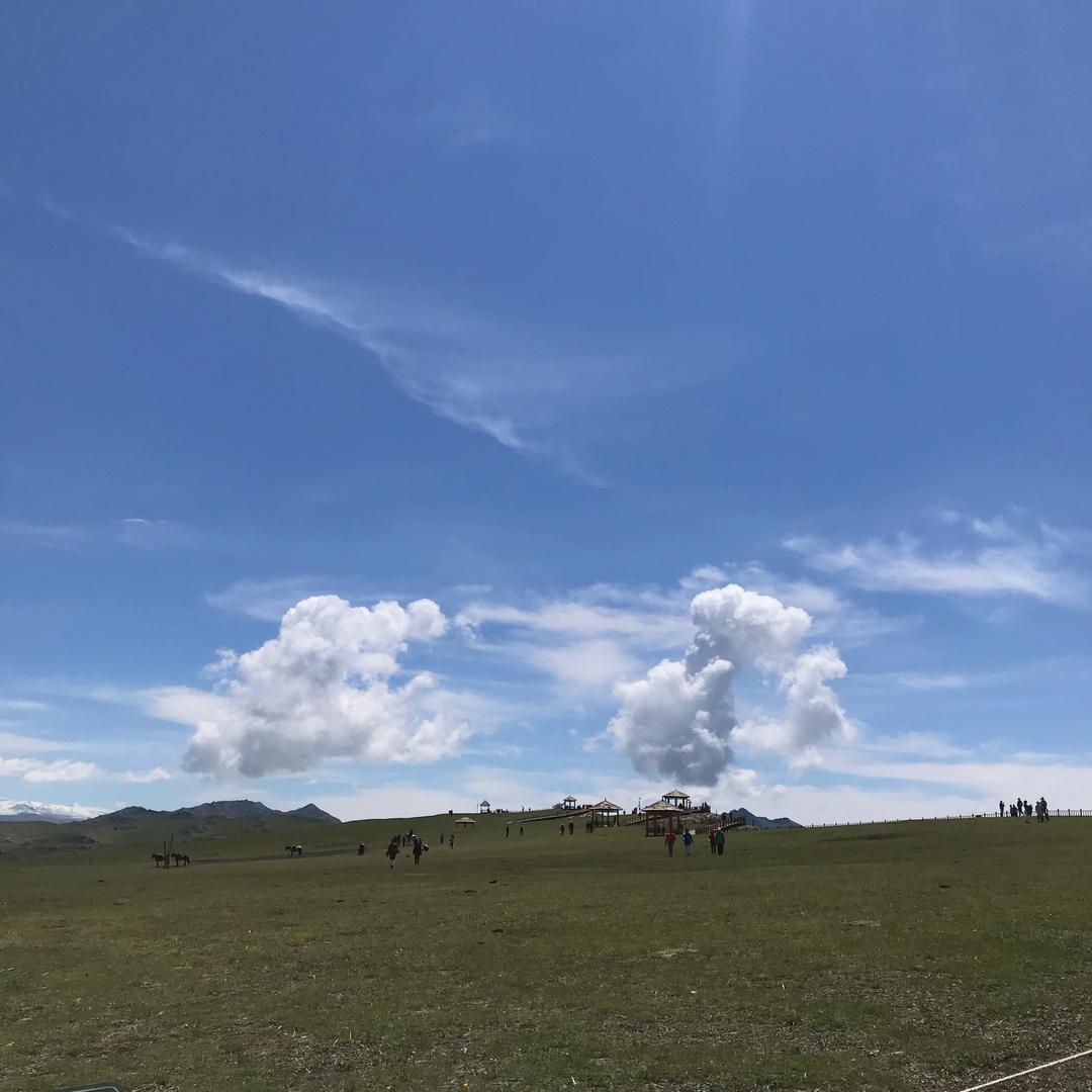 玉兰
