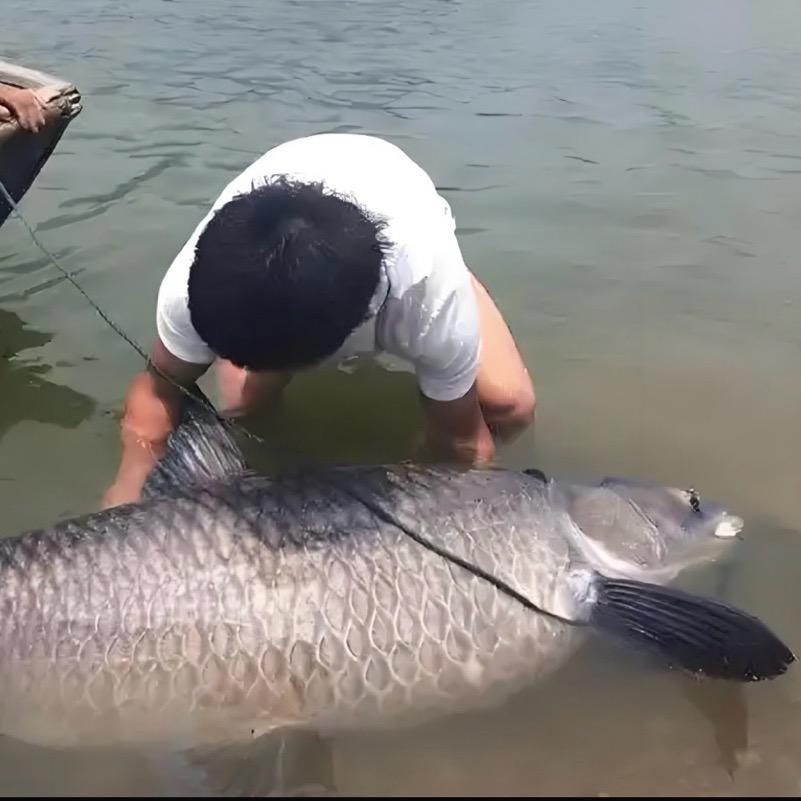 微山湖鱼虾大队长