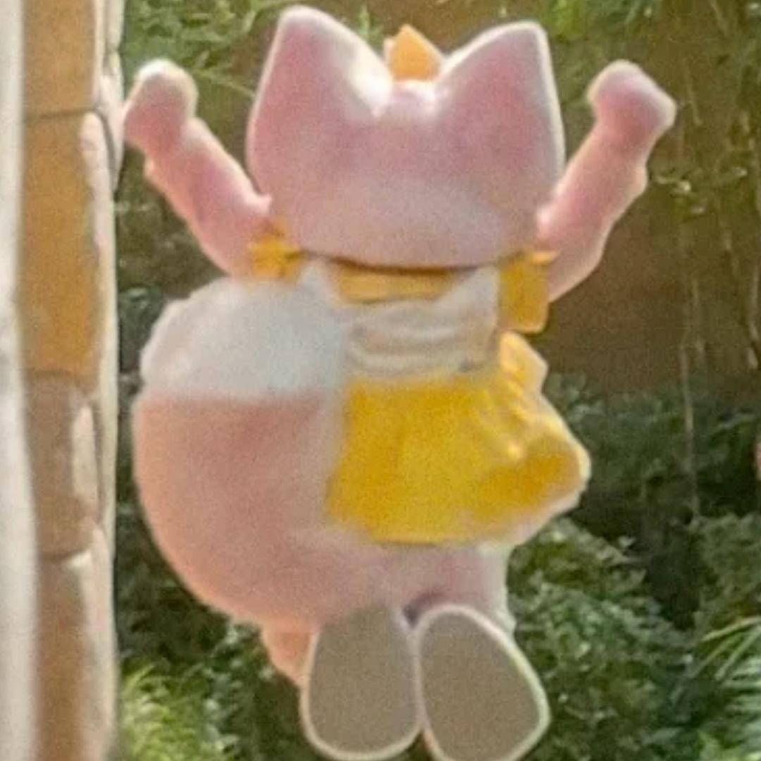 古拉拉-